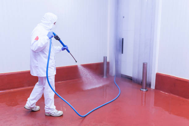 Best Post-Construction Pressure Washing  in Black Jack, MO