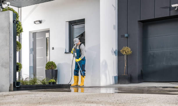 Best Driveway Pressure Washing  in Black Jack, MO